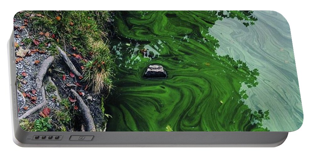  Portable Battery Charger featuring the photograph Like Green Marble by Aleck Cartwright