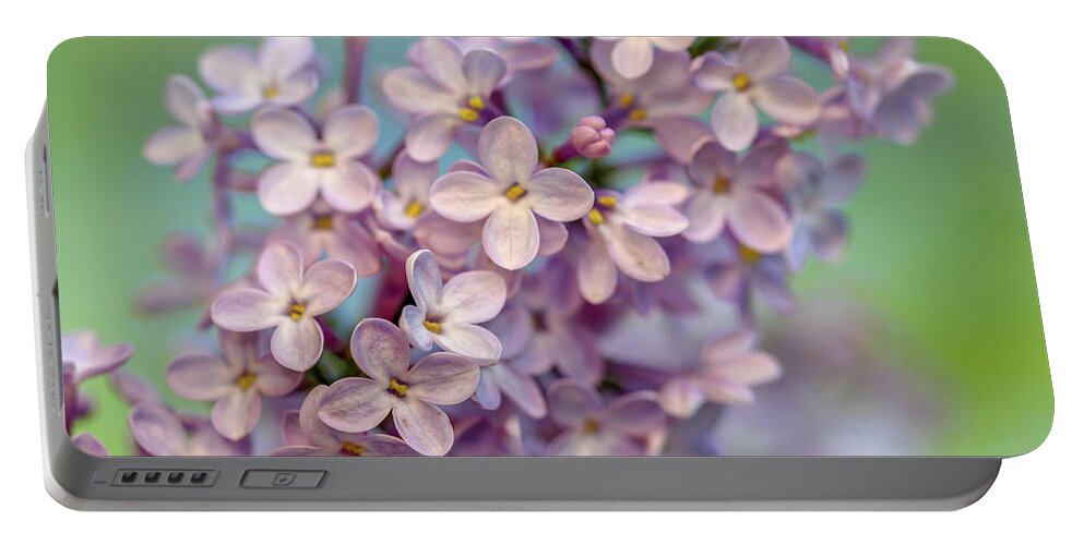 Lilac Portable Battery Charger featuring the photograph Lilac Blossom II by Mary Anne Delgado