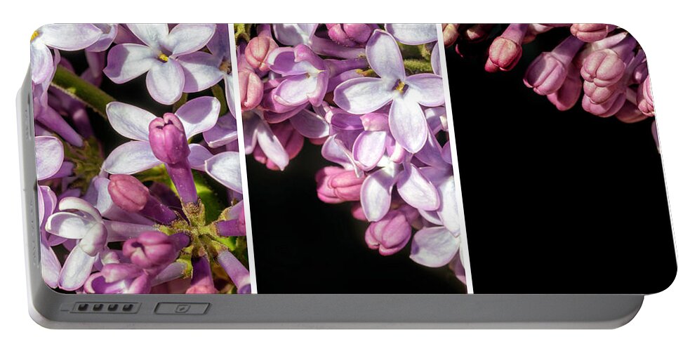 Triptych Portable Battery Charger featuring the photograph Lilac Bouquet Triptych One by John Williams