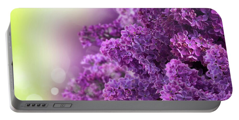 Lilac Portable Battery Charger featuring the photograph Lilac Flowers on Green by Anastasy Yarmolovich