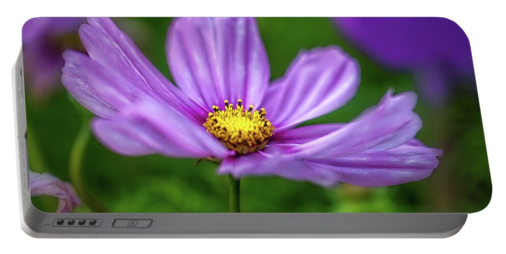 Lilac Portable Battery Charger featuring the photograph Lilac June 2016. by Leif Sohlman