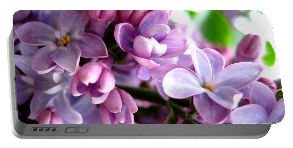 Lilacs Portable Battery Charger featuring the photograph Lilacs by Cindy Schneider
