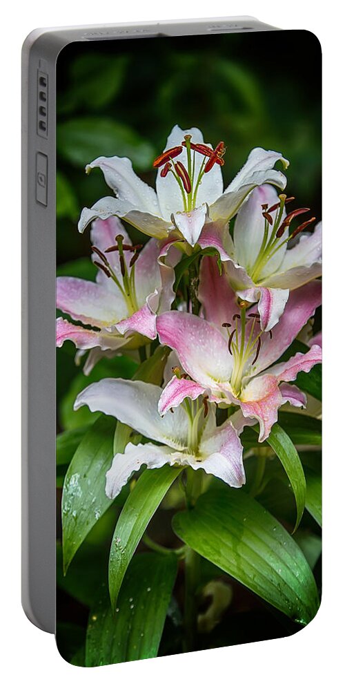 Flowers Portable Battery Charger featuring the digital art Lilies After the Rain by John Haldane