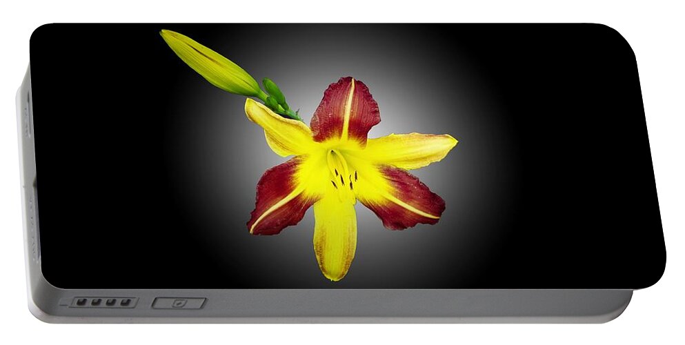 Lily And Bud Portable Battery Charger featuring the photograph Lily and Bud by Mike Breau