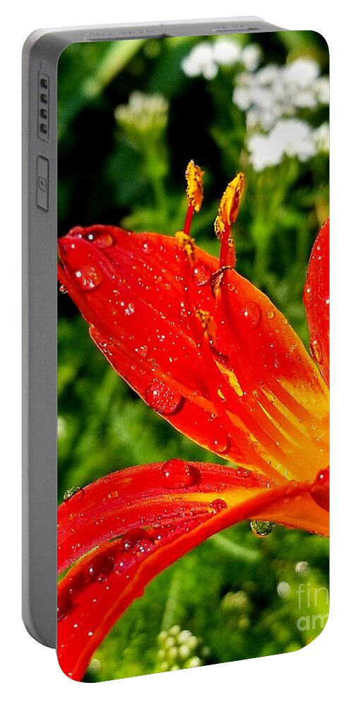 Sea Portable Battery Charger featuring the photograph Lily and raindrops by Michael Graham
