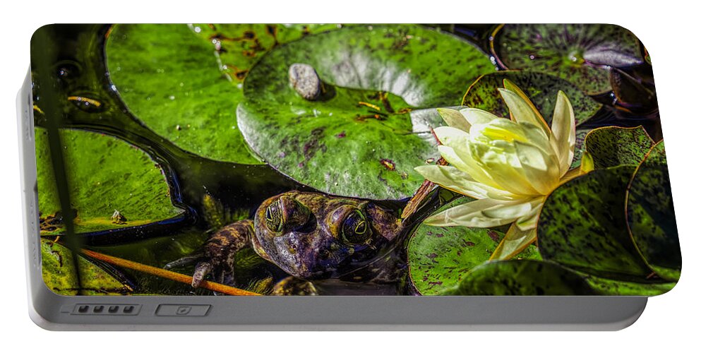 Lily Portable Battery Charger featuring the photograph Lily and the Frog by Lilia S