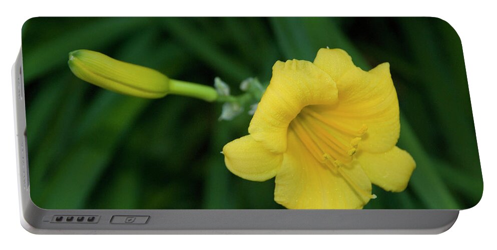 Yellow Flowers Portable Battery Charger featuring the photograph Lily Flower by Ee Photography