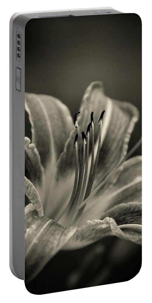 Lily Portable Battery Charger featuring the photograph Lily In Sepia by Greg and Chrystal Mimbs