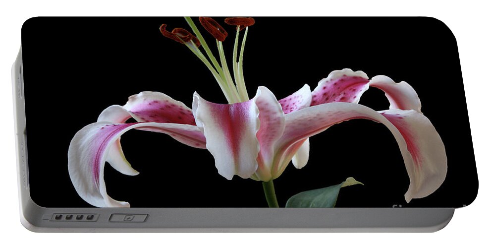 Flower Portable Battery Charger featuring the photograph Lily by Mariarosa Rockefeller