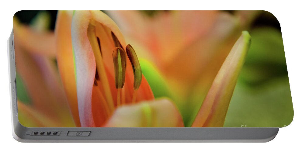 Flower Portable Battery Charger featuring the photograph Lily by Mariusz Talarek