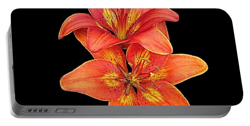  Portable Battery Charger featuring the digital art Lily Next Door- Vivid by Doug Morgan