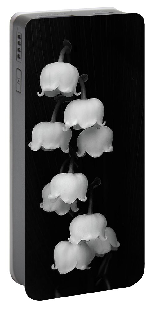 Lily Of The Valley Portable Battery Charger featuring the photograph Lily of the Valley by Holly Ross