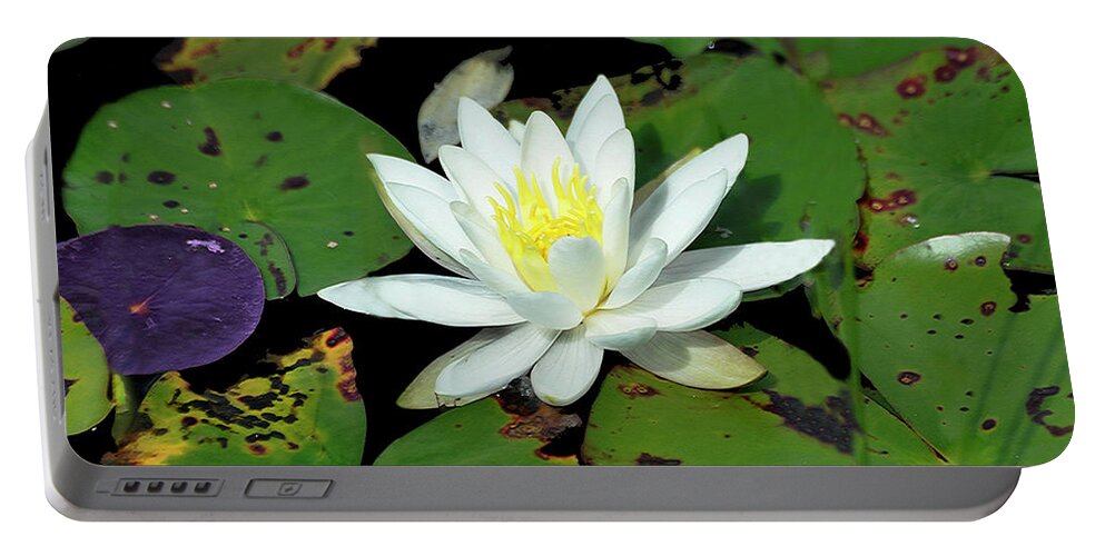 Diane Berry Portable Battery Charger featuring the photograph Lily Pad 3 by Diane E Berry