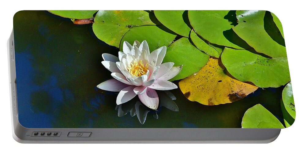 Linda Brody Portable Battery Charger featuring the photograph Pink Water Lily with Water Reflection I by Linda Brody
