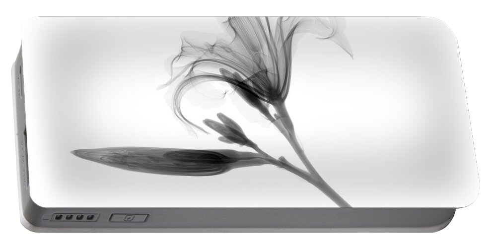 Flower Portable Battery Charger featuring the photograph Lily by Ted Kinsman