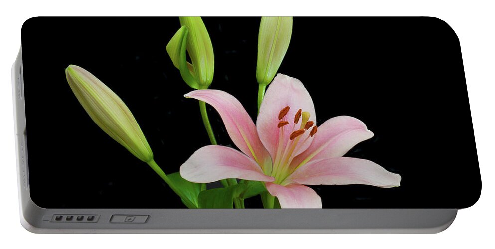 Floral Portraits Portable Battery Charger featuring the photograph Lily The Pink by Terence Davis