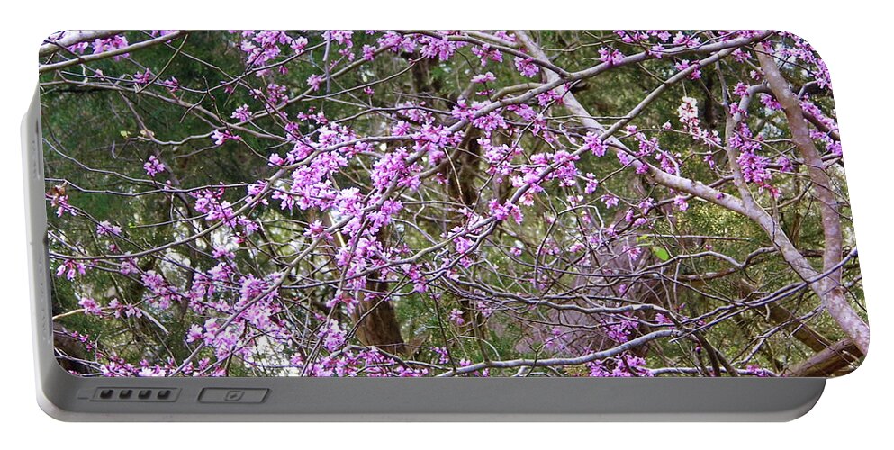 Red Bud Portable Battery Charger featuring the photograph Limbs Full Of Redbuds by D Hackett