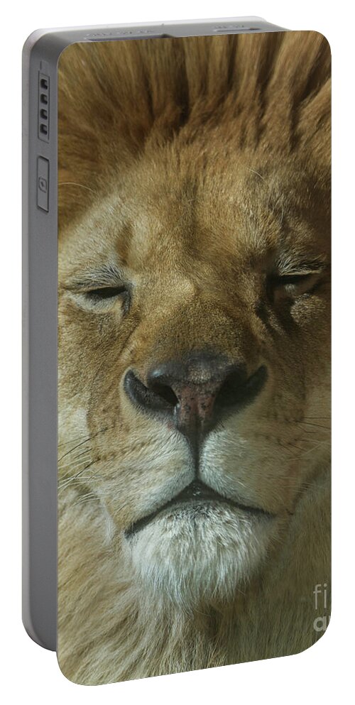 Lion Of Judah Portable Battery Charger featuring the photograph Lion of Judah by Karen Jorstad