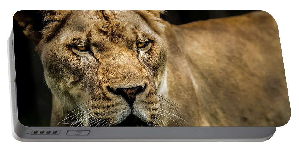Panthera Portable Battery Charger featuring the photograph Lioness by Ron Pate