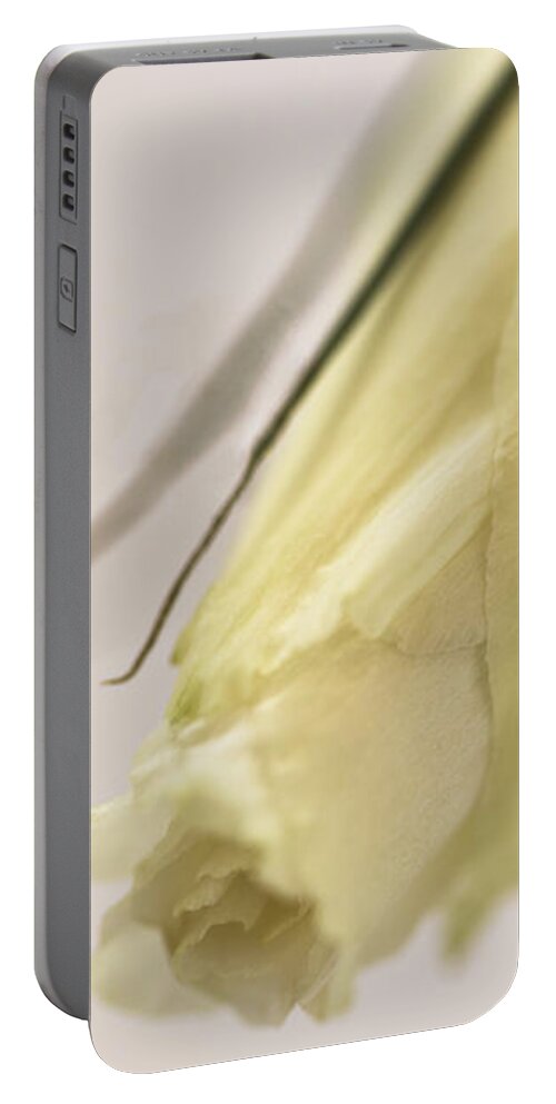 Lisianthus Portable Battery Charger featuring the photograph Lisianthus Bud by Sandra Foster
