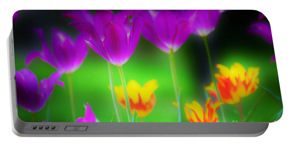 Flowers Portable Battery Charger featuring the photograph Lite from Below by Merle Grenz