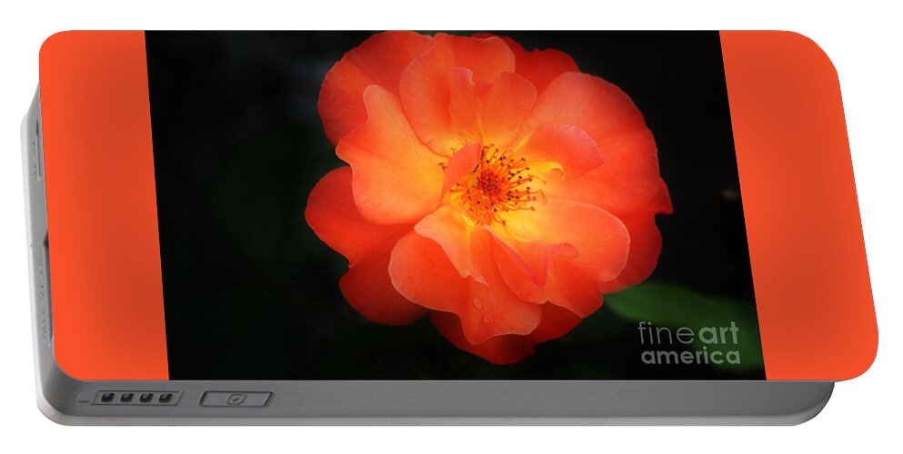 Flower Portable Battery Charger featuring the photograph Lite up by Merle Grenz