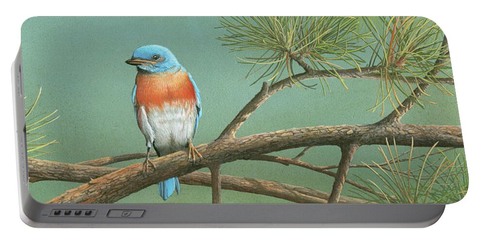 Blue Bird Portable Battery Charger featuring the painting Little Boy Blue by Mike Brown