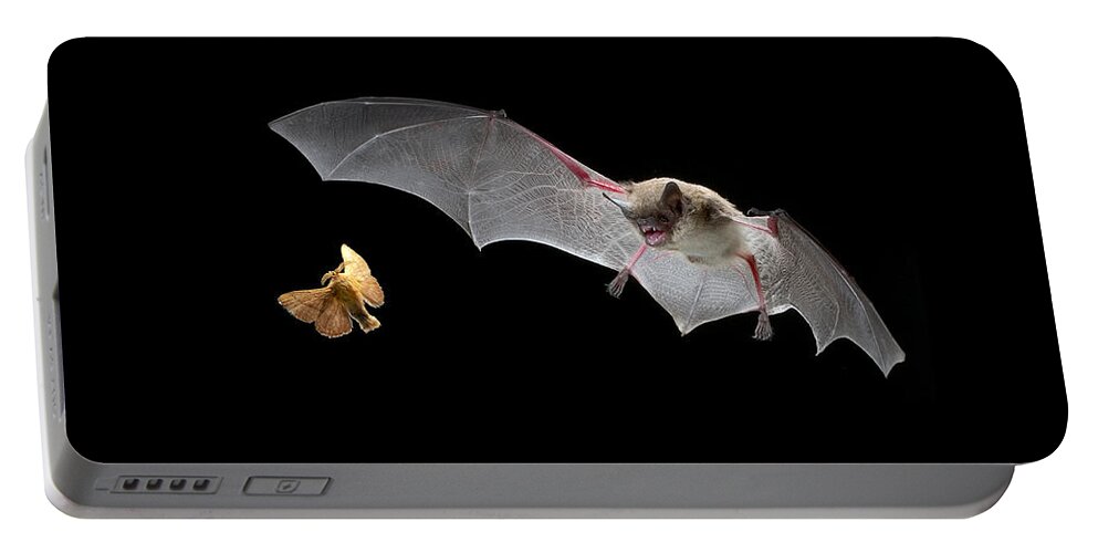 Mp Portable Battery Charger featuring the photograph Little Brown Bat Hunting Moth by Michael Durham