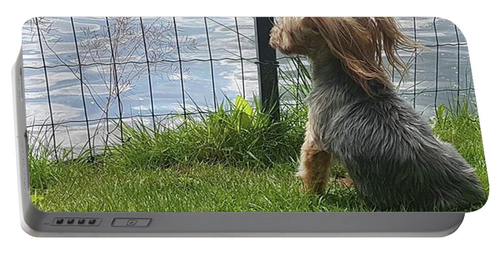 Dog Portable Battery Charger featuring the photograph Enjoying The Breeze by Rowena Tutty