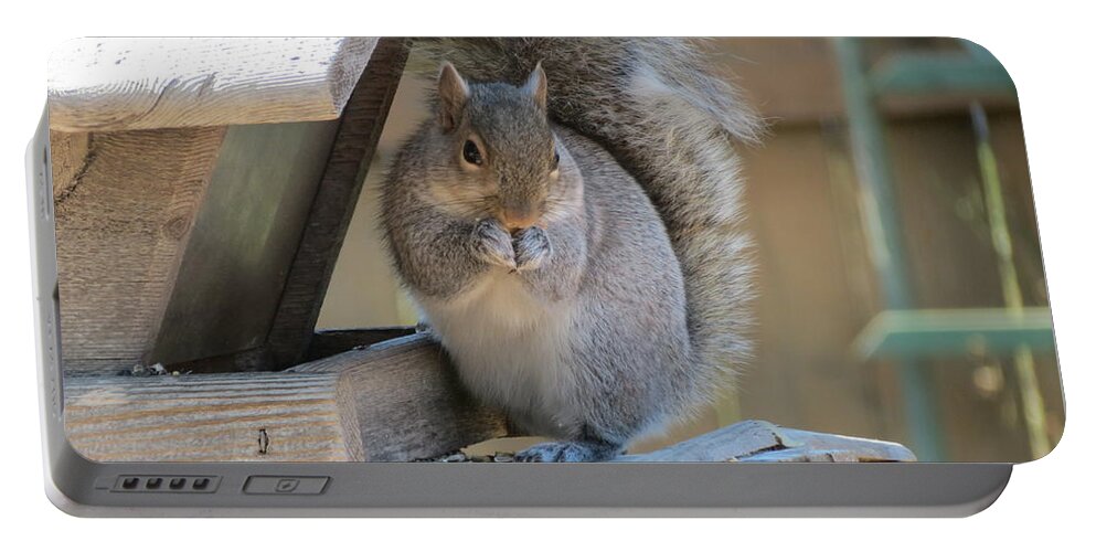 Squirrel Portable Battery Charger featuring the photograph Little Gray Squirrel Eating by Kay Novy