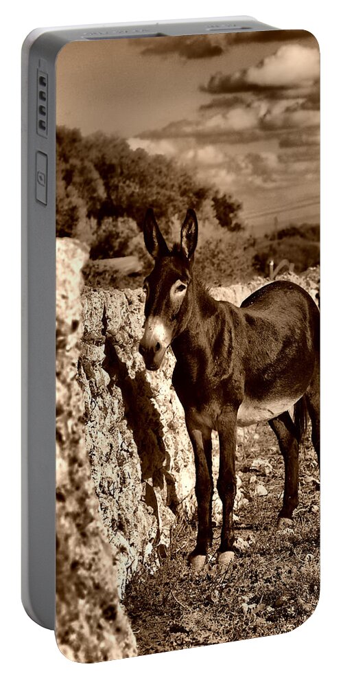 Donkey Portable Battery Charger featuring the photograph Little Mediterranean Donkey Dreams With White Eyes And Belly in sephia By Pedro Cardona by Pedro Cardona Llambias
