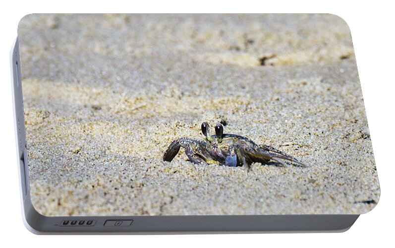 Crab Art Print Portable Battery Charger featuring the photograph Little Nag's Head Crab by Patricia Griffin Brett