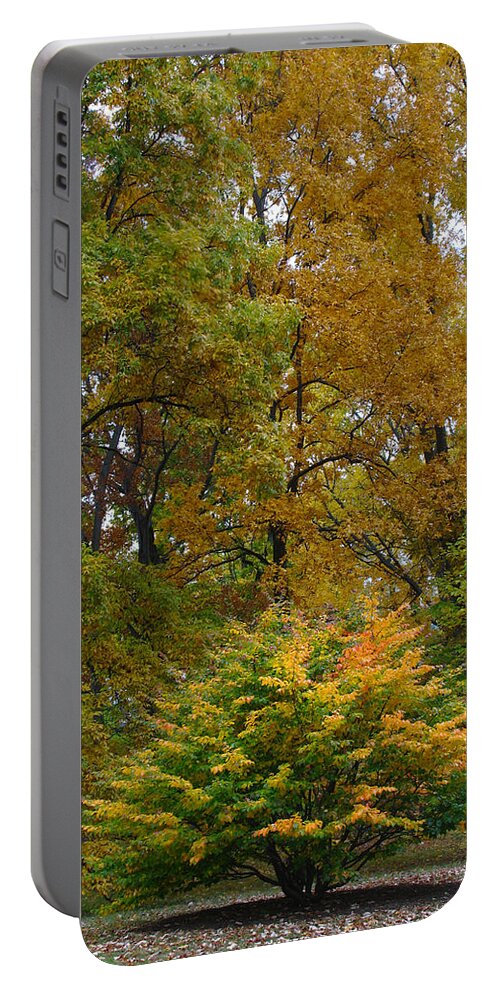 Tree Portable Battery Charger featuring the photograph Little One by Juergen Roth