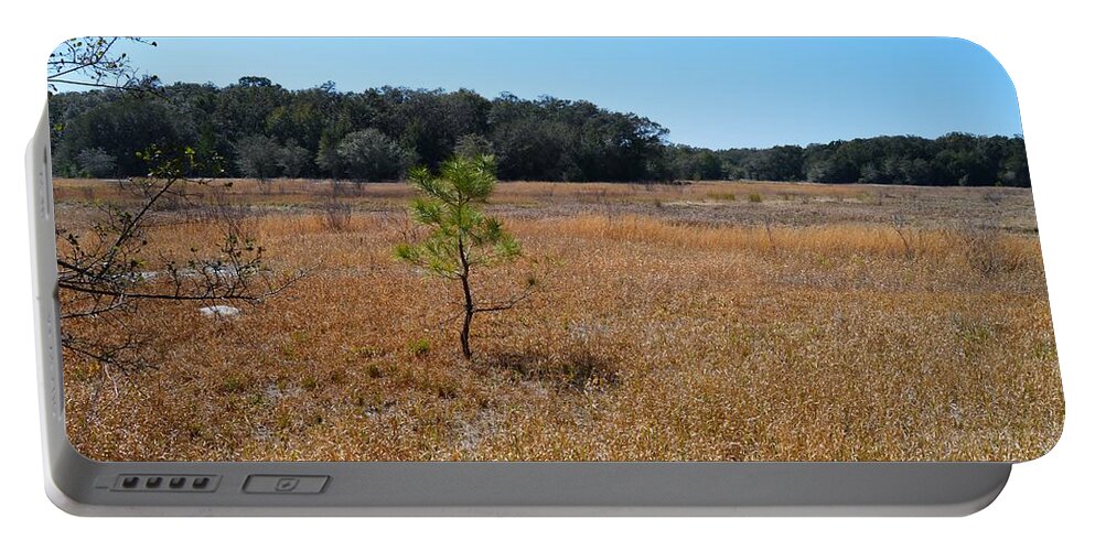 Little Pine At Ross Prairie Portable Battery Charger featuring the photograph Little Pine at Ross Prairie by Warren Thompson