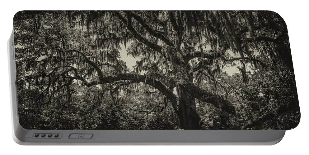 Live Oak Tree Portable Battery Charger featuring the photograph Live Oak Tree Sepia by Dale Powell
