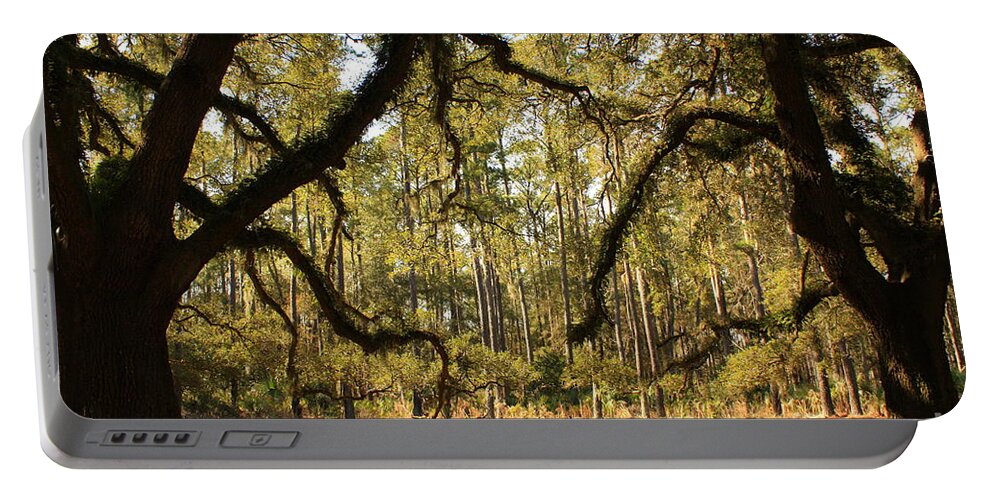 Savannah Portable Battery Charger featuring the photograph Live Oaks Silhouette by Carol Groenen