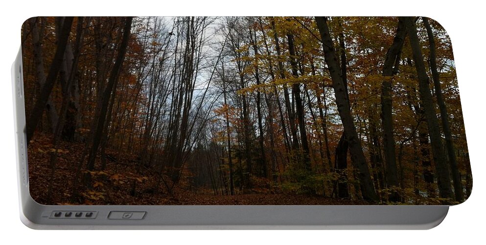 Fall Portable Battery Charger featuring the photograph Living in the Sticks by Annie Walczyk