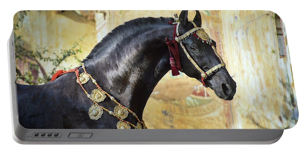 Russian Artists New Wave Portable Battery Charger featuring the photograph Living Piece of Art. Marwari Stallion by Ekaterina Druz