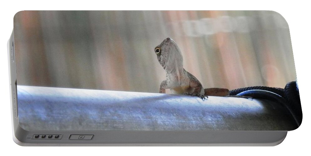 Caught This Grey Portable Battery Charger featuring the photograph Lizard Larry Look Up by Belinda Lee