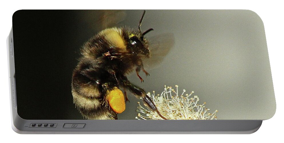Flying Bee Portable Battery Charger featuring the photograph Loaded by Ann E Robson