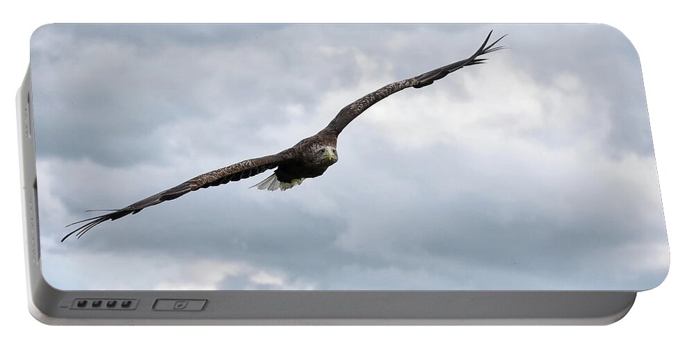 Eagle Portable Battery Charger featuring the photograph Locked On by Kuni Photography