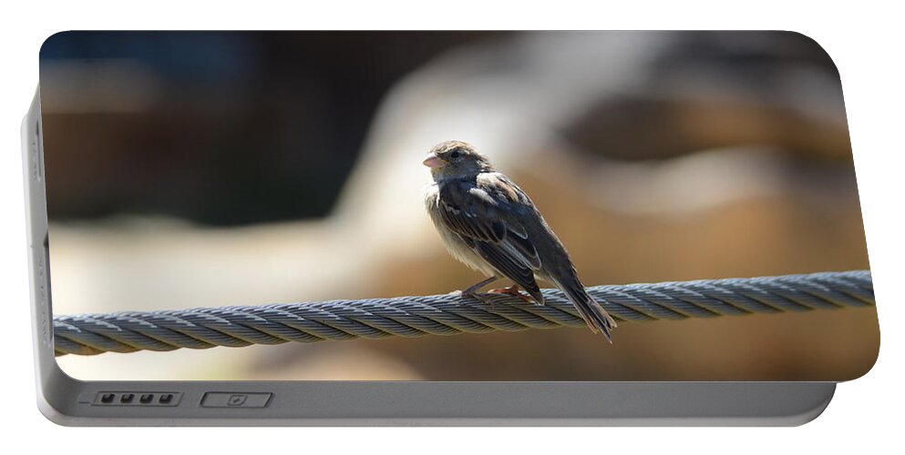Bird Portable Battery Charger featuring the photograph The Sentry by Chuck Brown