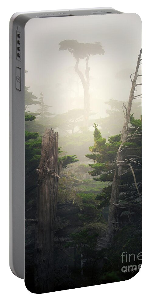California Portable Battery Charger featuring the photograph Lone Cyprus Tree by Craig J Satterlee