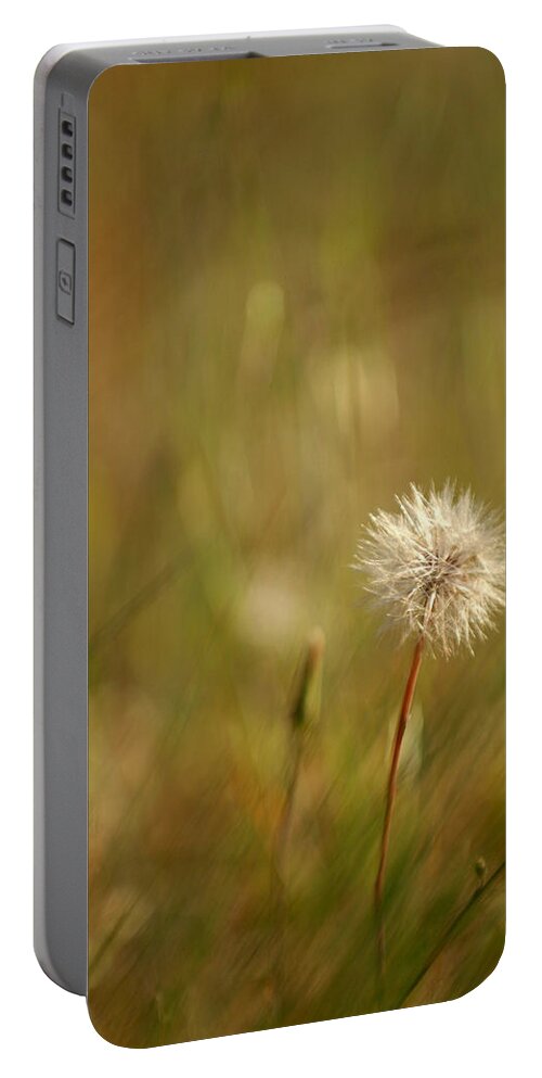 Dandelion Flower Wildflower Nature Botanical Portable Battery Charger featuring the photograph Lone Dandelion 2 by Jill Reger