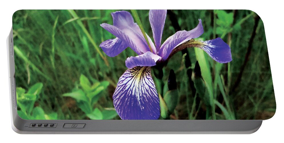 Flower Portable Battery Charger featuring the photograph Lone Iris by Celtic Artist Angela Dawn MacKay
