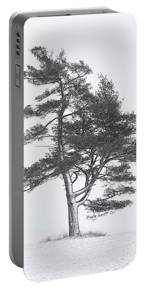 Pine Tree Portable Battery Charger featuring the photograph Lone Pine in Winter Storm by Barbara McMahon