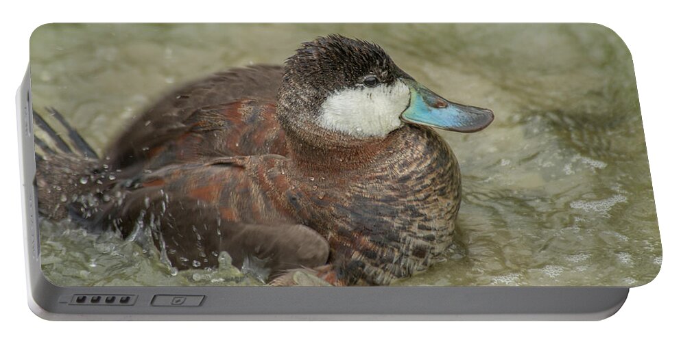 Birds Portable Battery Charger featuring the photograph Lone Ruddy Duck by Frank Madia