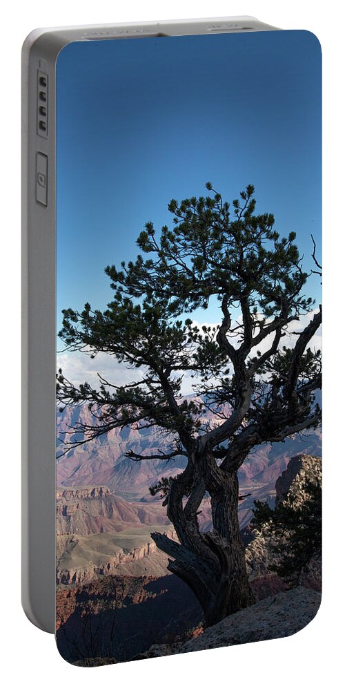 Grand Canyon National Park Portable Battery Charger featuring the photograph Lone Tree 2 by Frank Madia