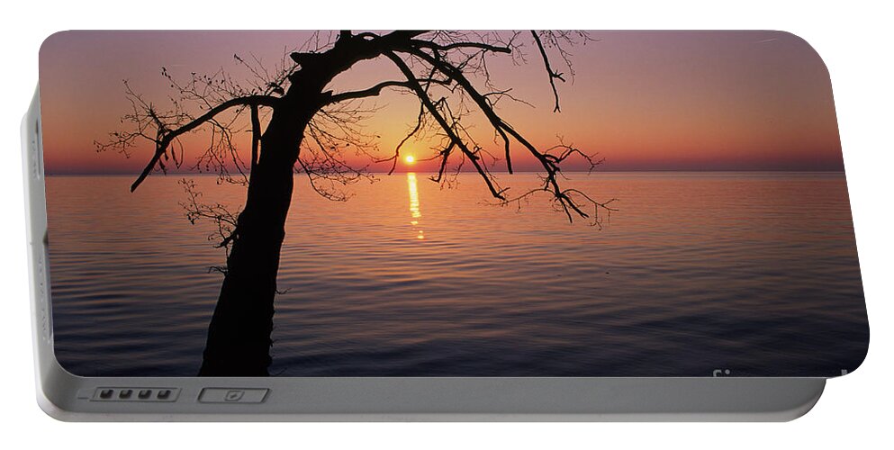 Lone Portable Battery Charger featuring the photograph Lone tree at dusk by Riccardo Mottola