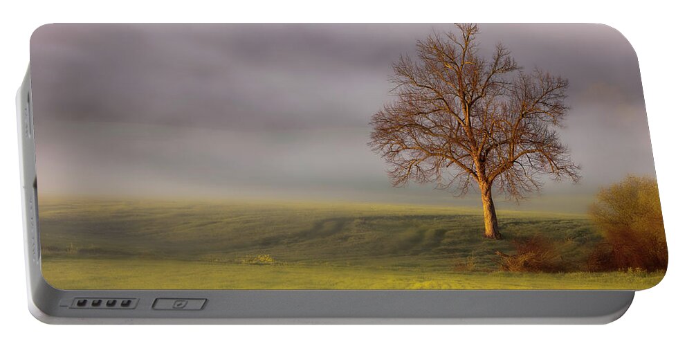Tree Portable Battery Charger featuring the photograph Lone Tree at Ojai Summit by John A Rodriguez
